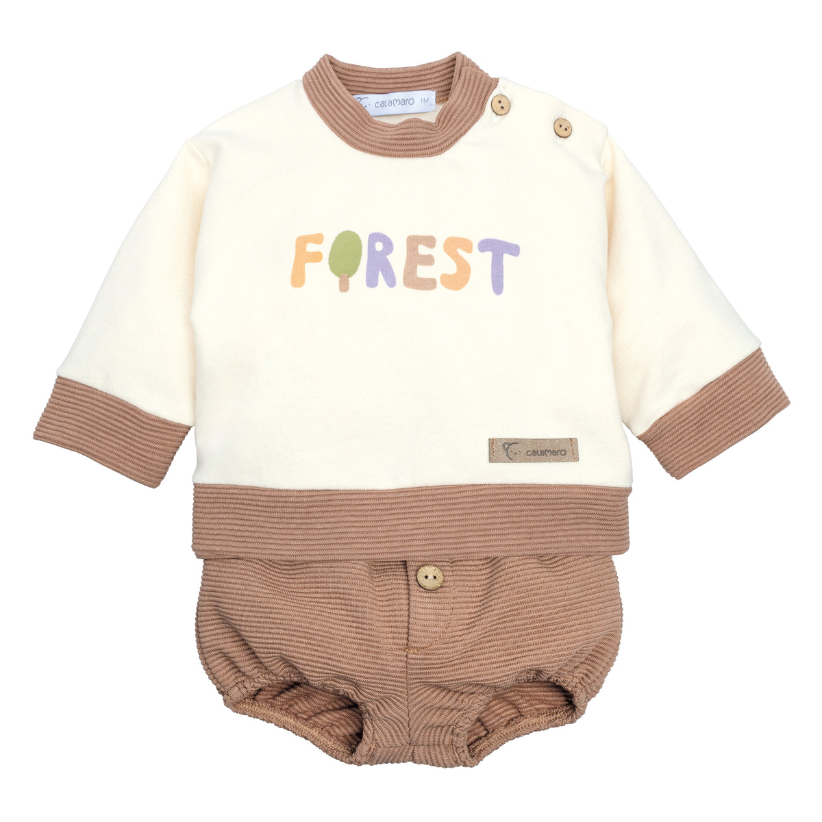 CONJUNTO FOREST