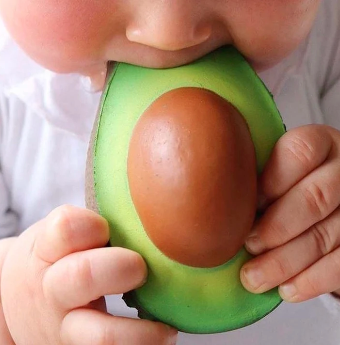 ARNOLD THE AVOCADO