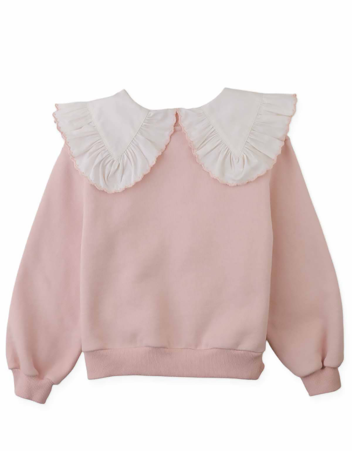 JERSEY BENEDICTA